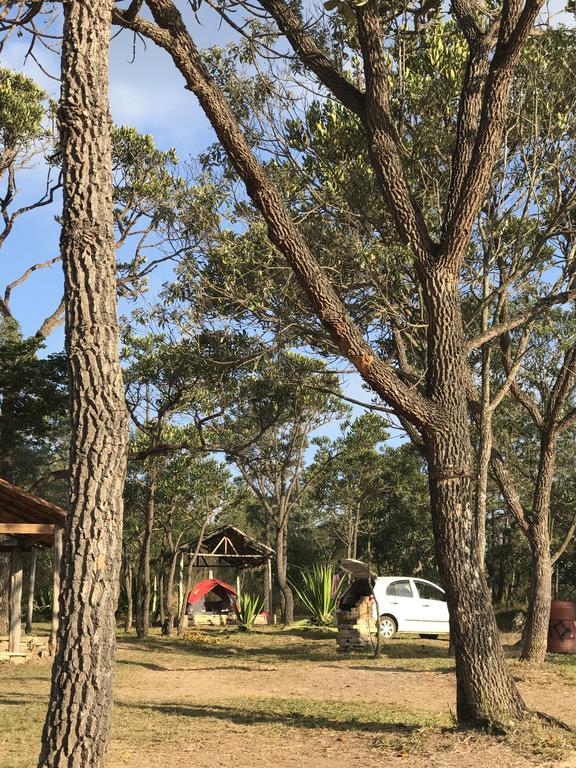 Отель Camping Do Noel - Chales Сан-Томе-дас-Летрас Экстерьер фото